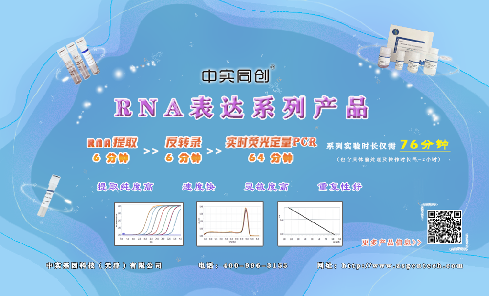 RNA表达系列产品