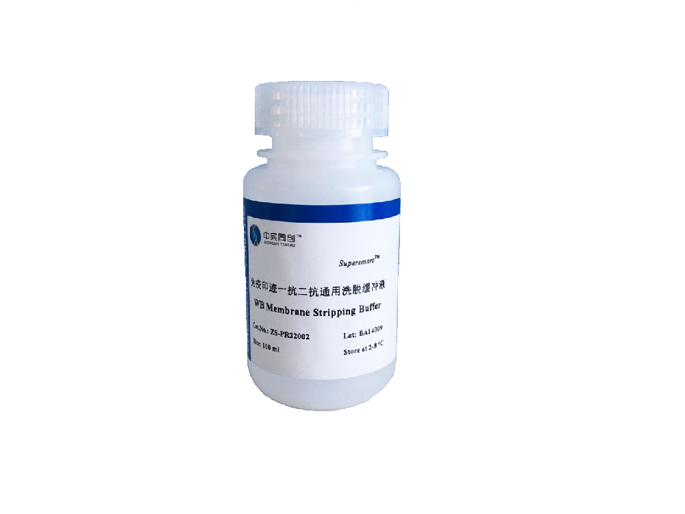 Superbrilliant® 免疫印迹通用型抗体洗脱缓冲液(ZS-PR22002)