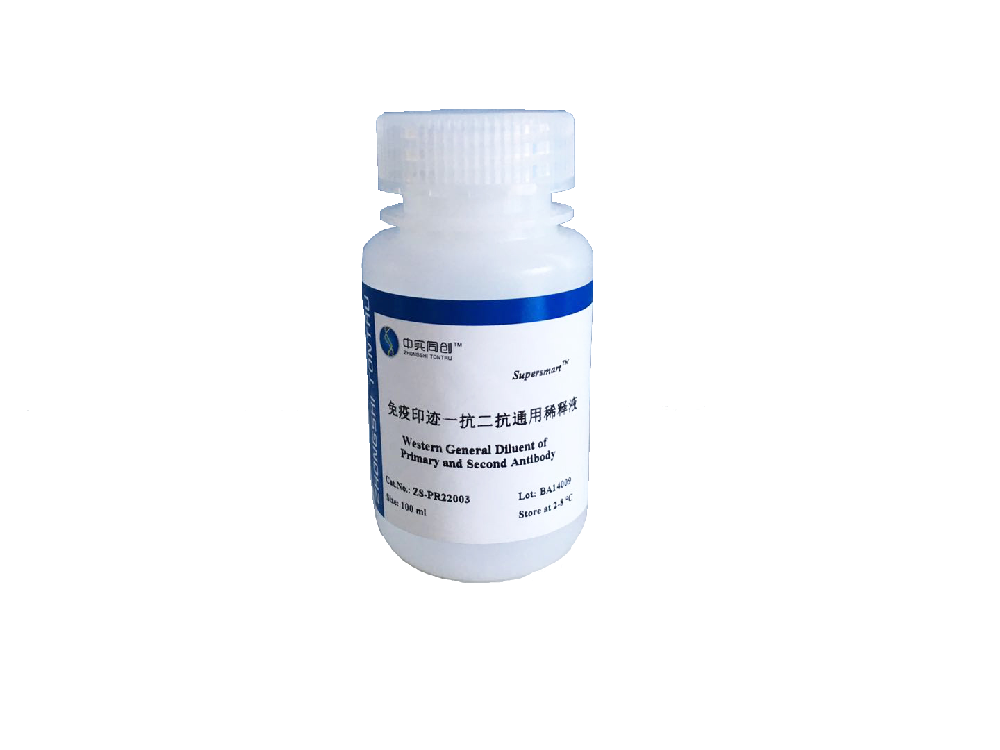 Superbrilliant® 免疫印迹通用型抗体稀释液 (ZS-PR22003)