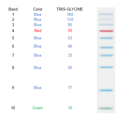 Superbrilliant® 三色蛋白Marker (10~180kDa)(ZS-PR24002)