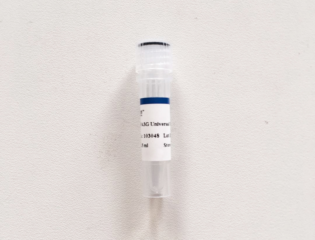 Superbrilliant®  第三代2×ZAPA全能PCR Mix (with dye) (ZS-M12007)