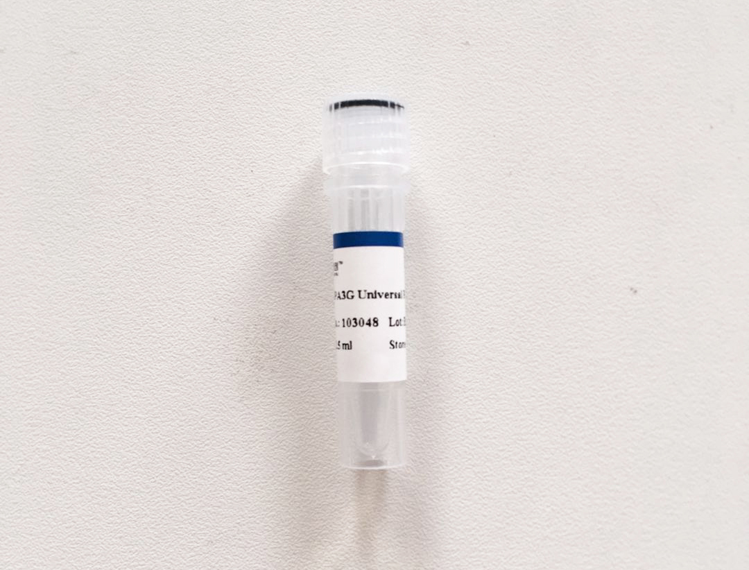 Superbrilliant®  第三代2×ZAPA全能PCR Mix (with dye) (ZS-M12007)