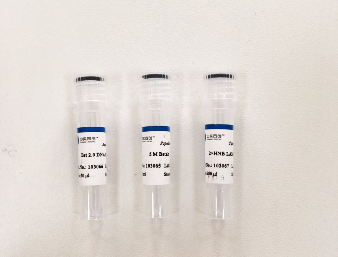 Superbrilliant LAMP扩增检测试剂盒（基于羟基萘酚蓝变色指示） (ZS-M17001)