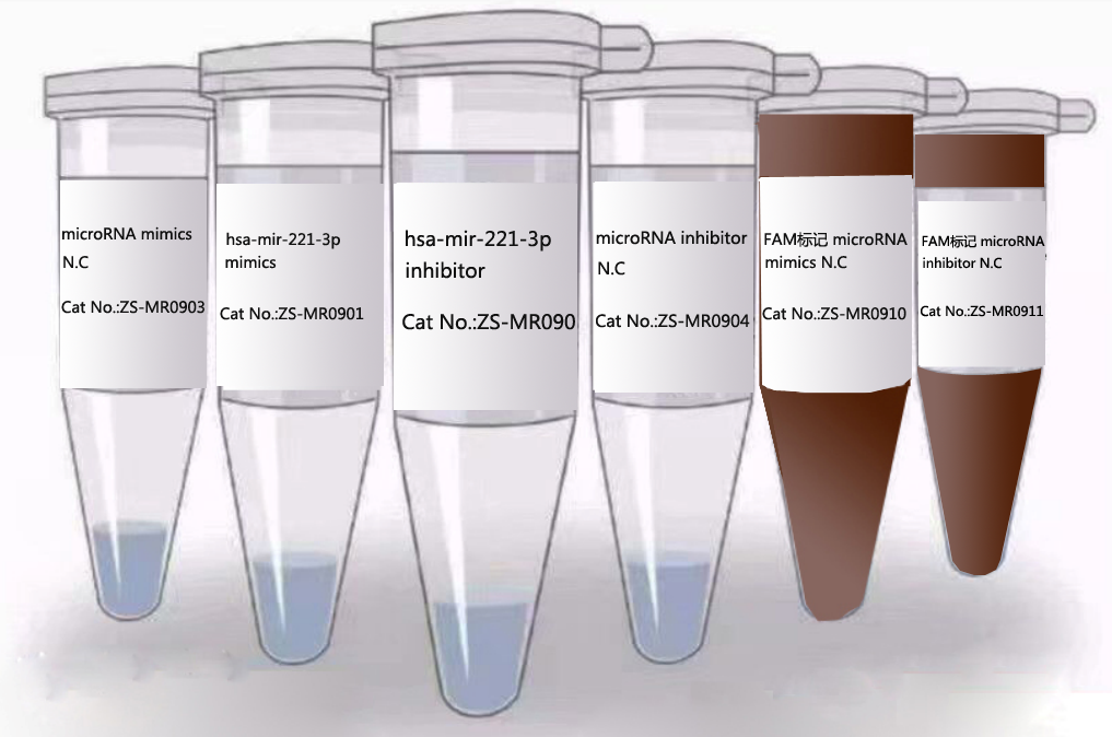 Superbrilliant®  microRNA mimics（ZS-MR0901）