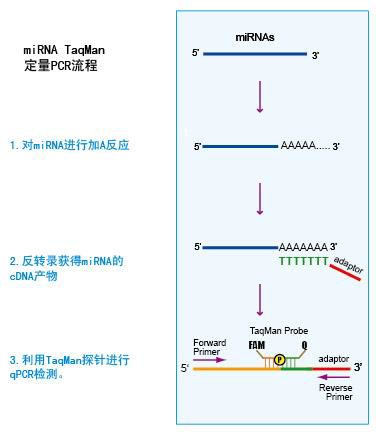微信图片_20200319150708.png