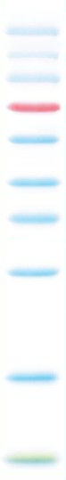1605864383669893.png 图片1.png